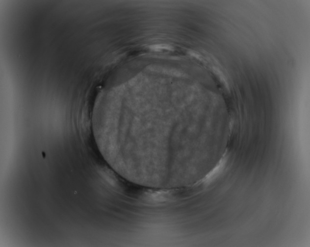 X0000087060186200705161019