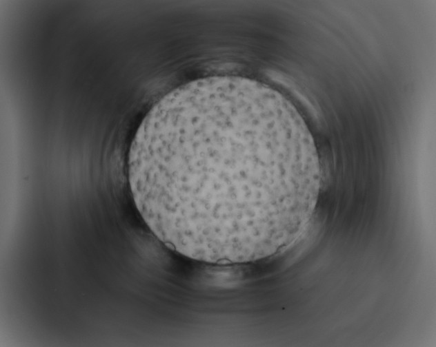 X0000087060187200705161019