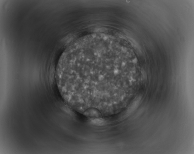 X0000087060189200705161019