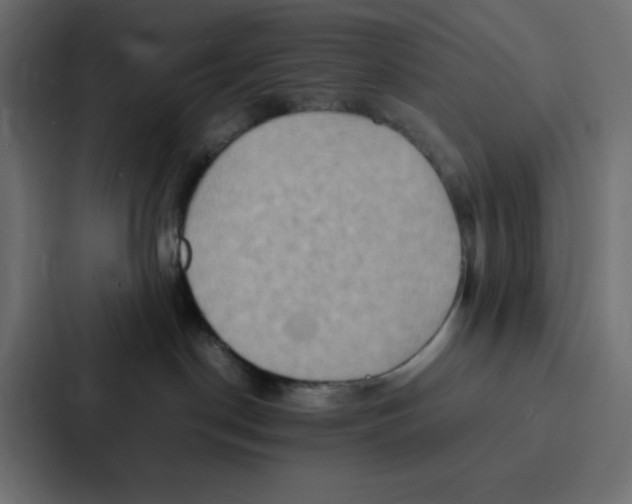 X0000087060190200705161019