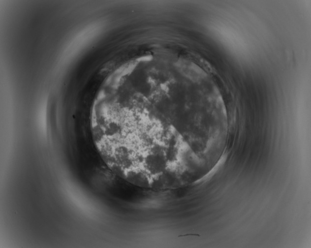 X0000087060191200705161019