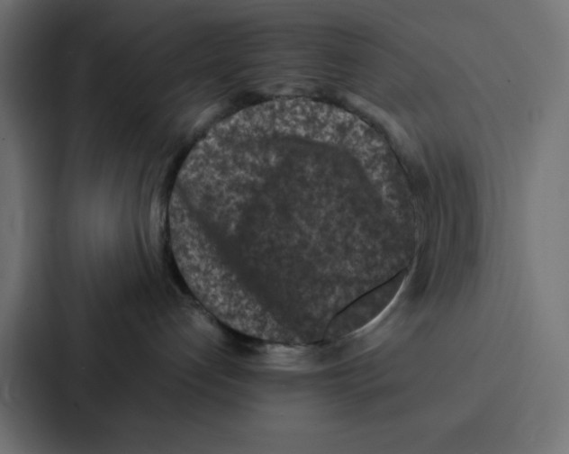 X0000087060192200705161019