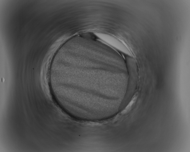 X0000087060193200705161019