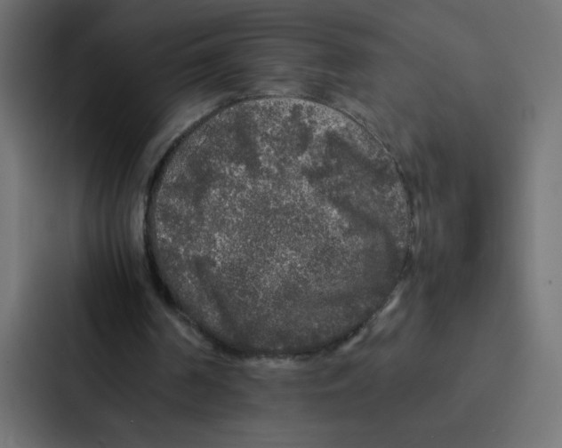 X0000087060194200705161019