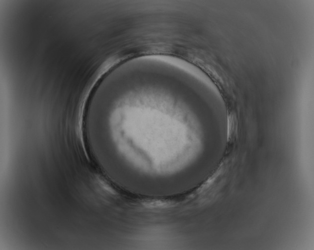 X0000087060195200705161019