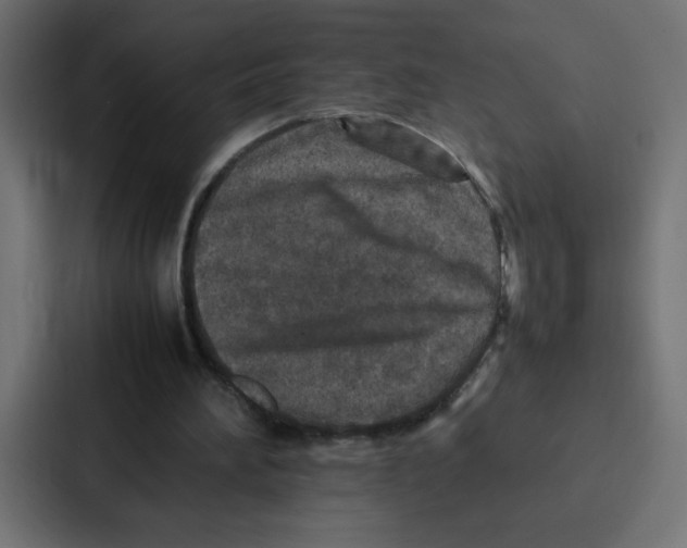 X0000087060196200705161019