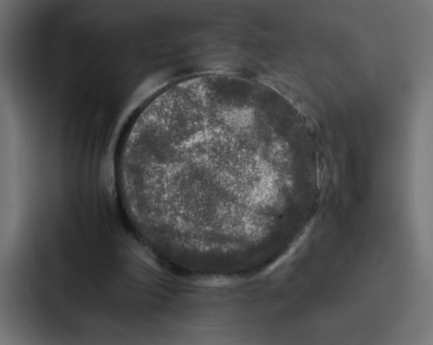 X0000087060198200705161019