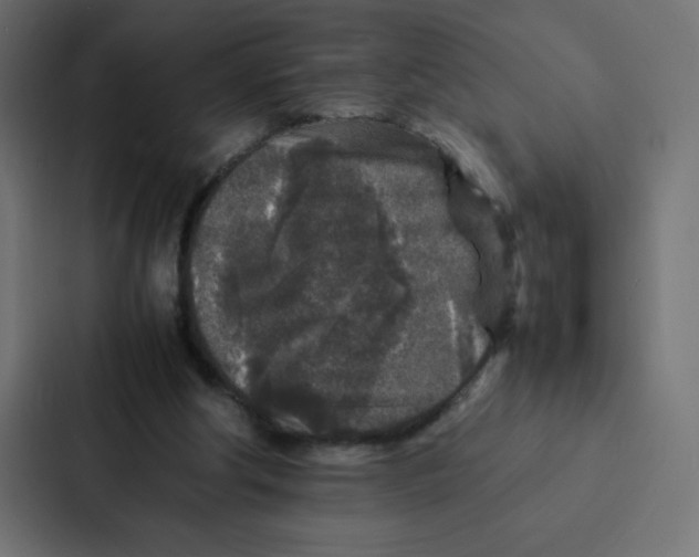 X0000087060202200705161019