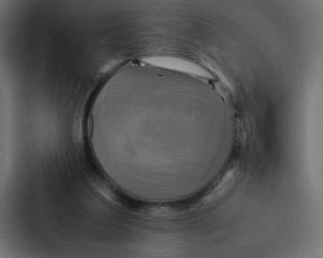 X0000087060203200705161019