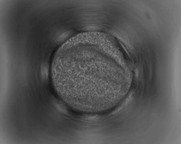 X0000087060206200705161019