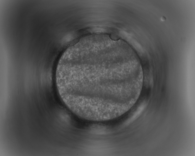 X0000087060207200705161019