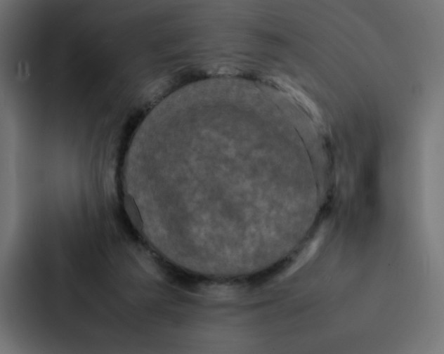 X0000087060209200705161019