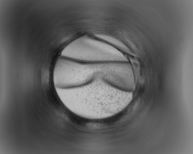 X0000087060211200705161019