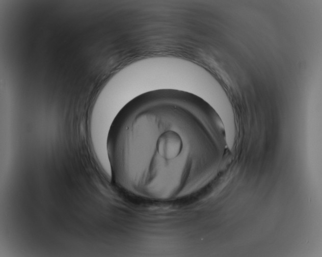 X0000087060213200705161019