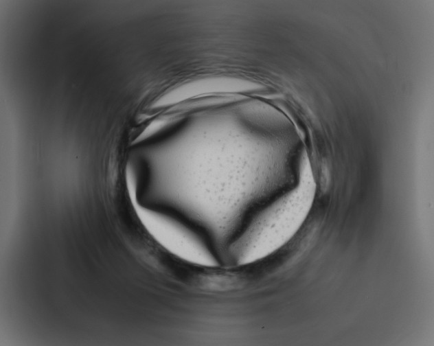 X0000087060215200705161019