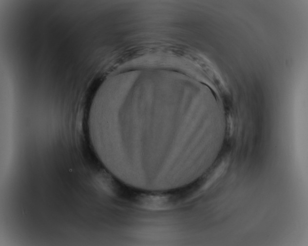 X0000087060217200705161018