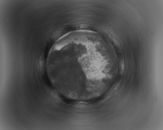 X0000087060222200705161018