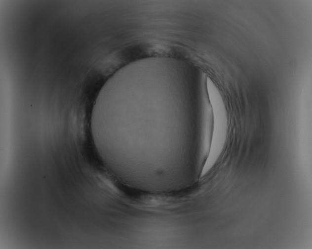 X0000087060223200705161018