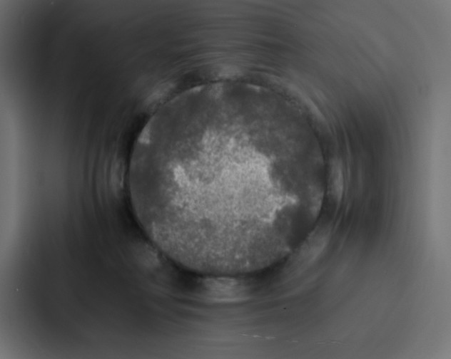 X0000087060230200705161018