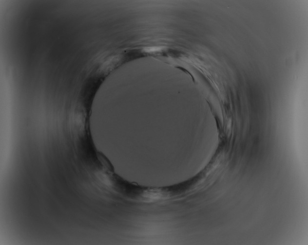 X0000087060231200705161018