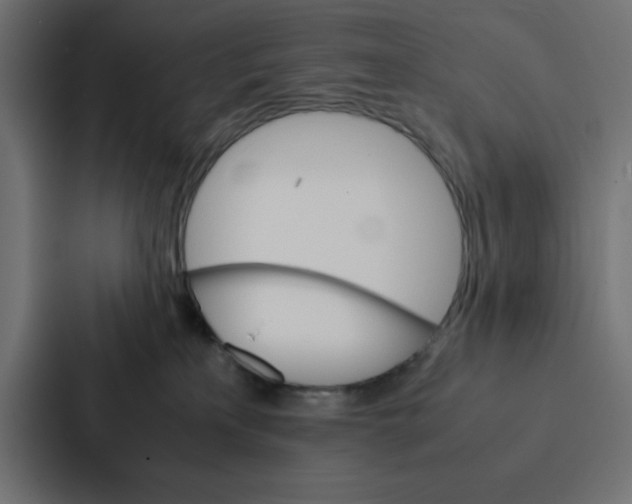 X0000087060233200705161018