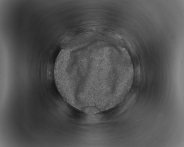 X0000087060234200705161018