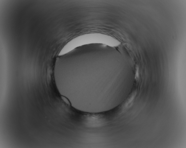 X0000087060235200705161018