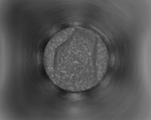 X0000087060236200705161018