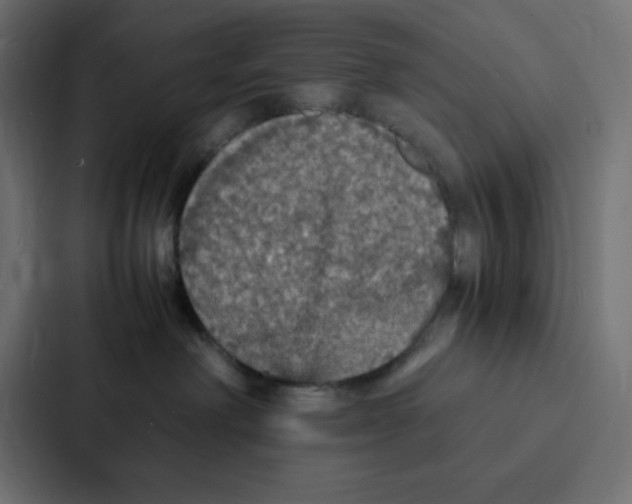 X0000087060238200705161018