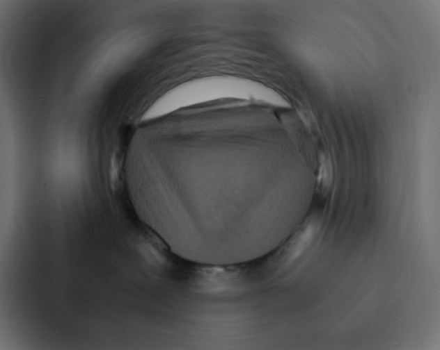 X0000087060239200705161018