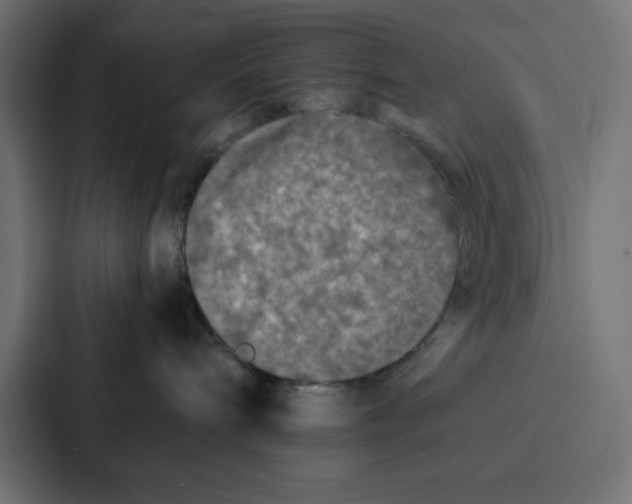 X0000087060240200705161018