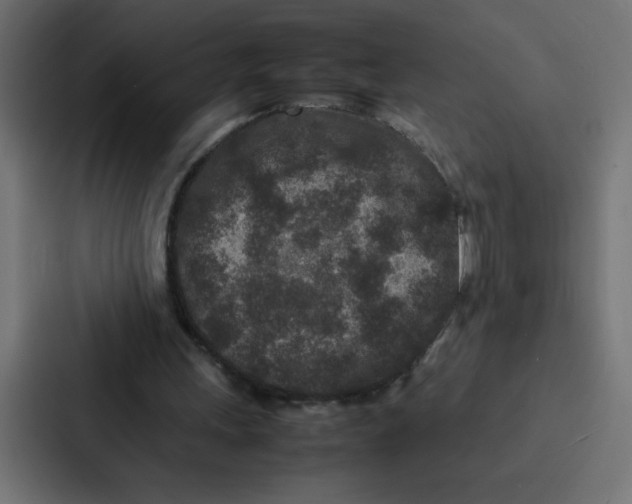 X0000087060243200705161018