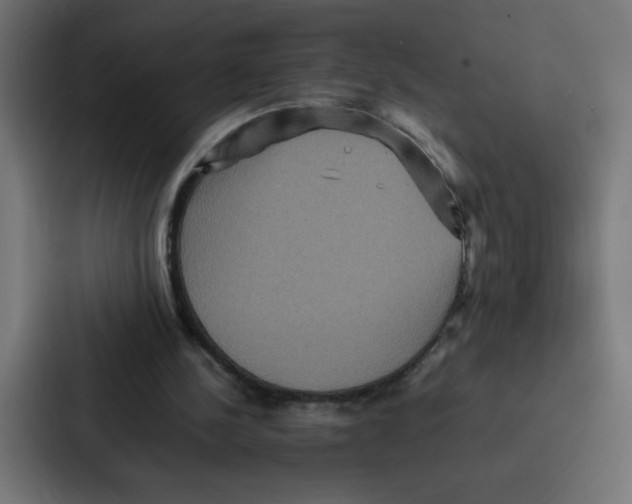 X0000087060244200705161018