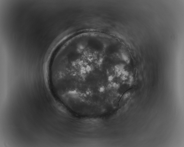 X0000087060247200705161018