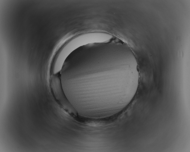 X0000087060248200705161018