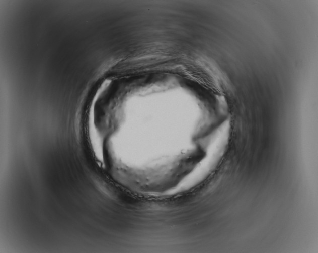 X0000087060250200705161018