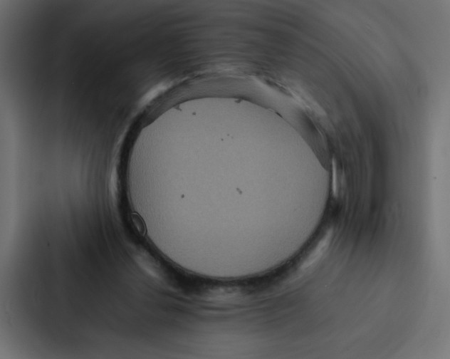 X0000087060252200705161018