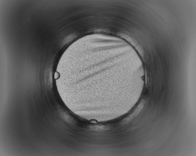 X0000087060253200705161018