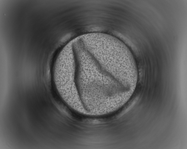 X0000087060254200705161018