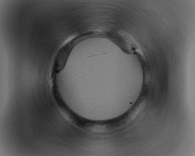 X0000087060256200705161018