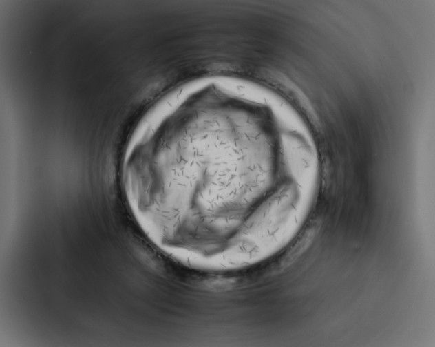 X0000087060257200705161018