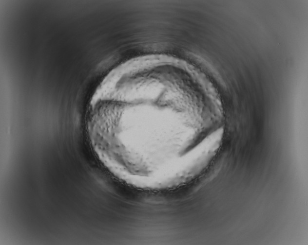 X0000087060258200705161018