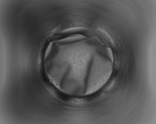 X0000087060260200705161018