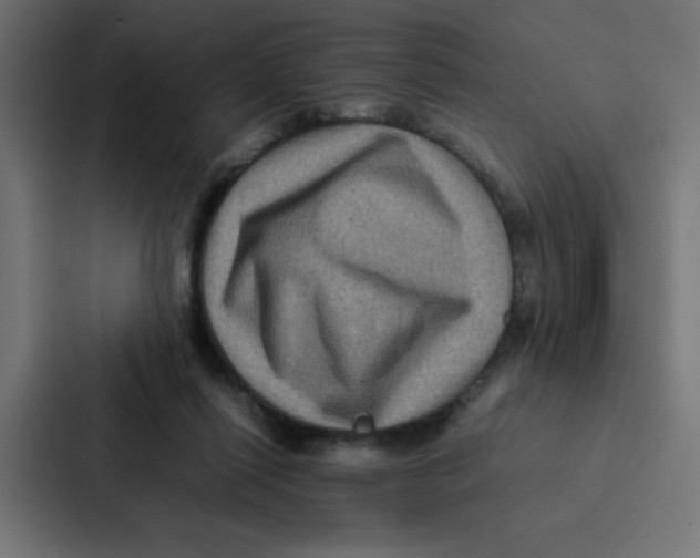 X0000087060262200705161018