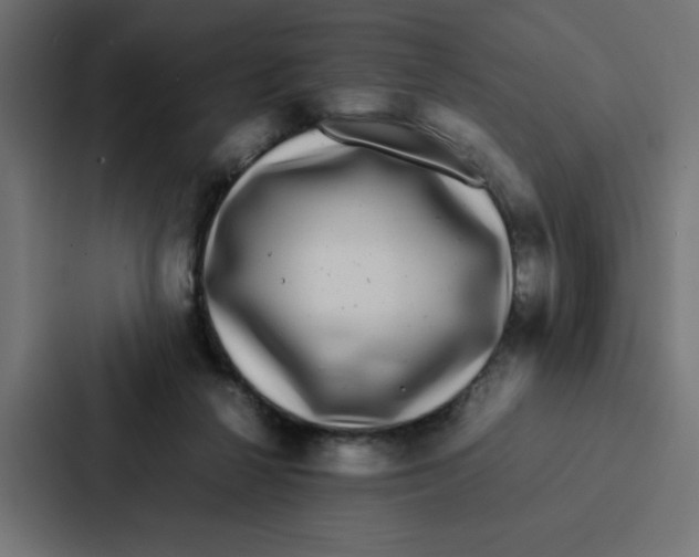 X0000087060264200705161018