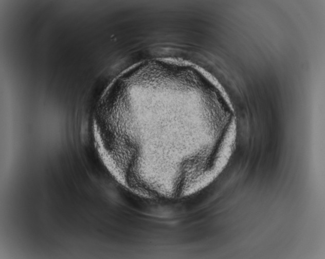 X0000087060267200705161018