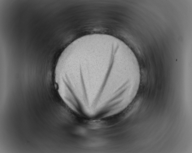 X0000087060269200705161018