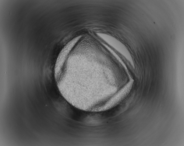 X0000087060271200705161018