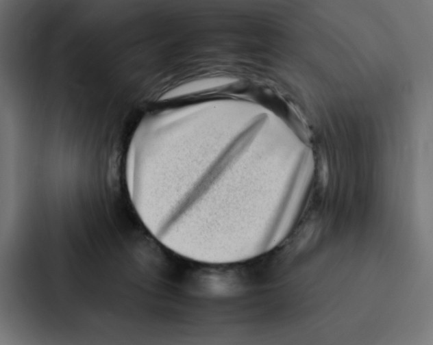 X0000087060275200705161018