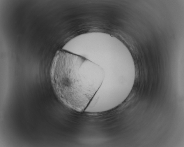 X0000087060281200705161018